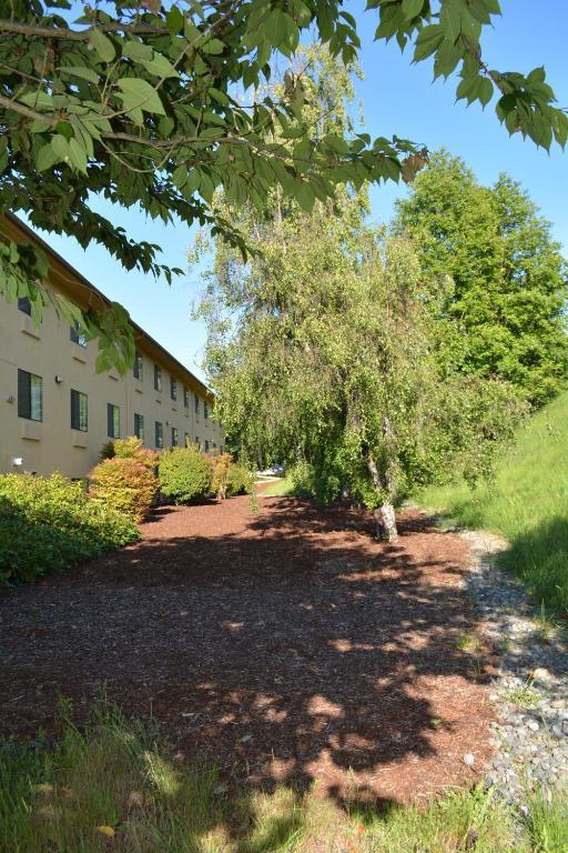 Motel Super 8 By Wyndham Port Angeles At Olympic National Park Exterior foto